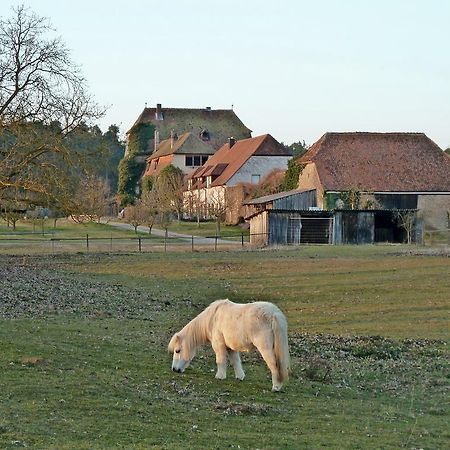 Elgersheimer Hof Volkach Exteriér fotografie