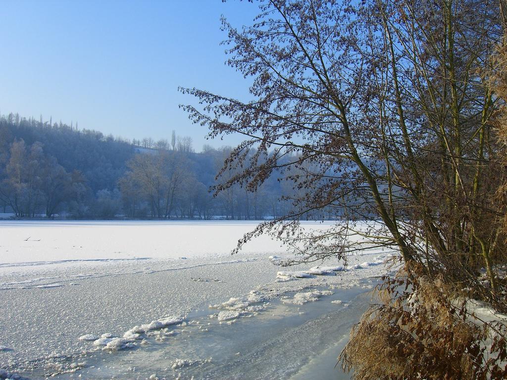 Elgersheimer Hof Volkach Exteriér fotografie